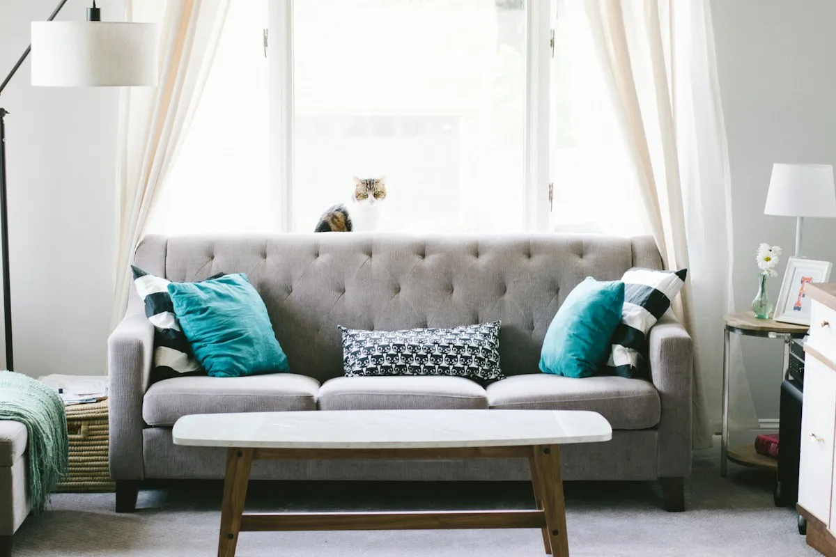 Curtain Cleaning